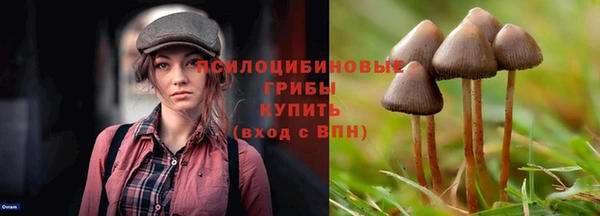 соль ск Инсар