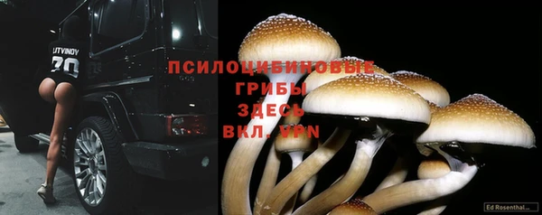 соль ск Инсар