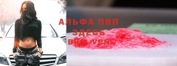 соль ск Инсар