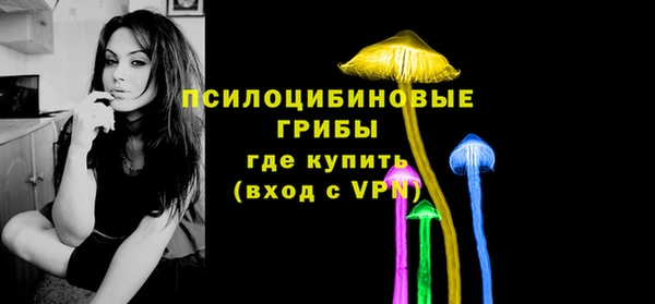 соль ск Инсар