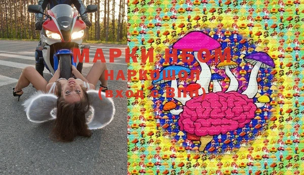 соль ск Инсар